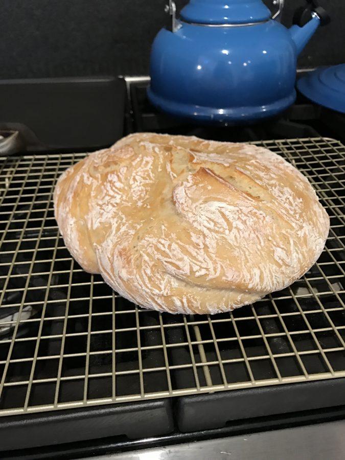 Dutch Oven-Crusty Bread