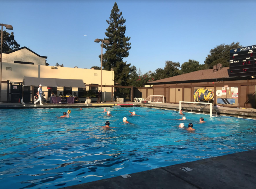 Water polo dominates throughout annual Roche tournament