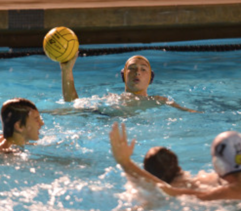 Stellar defense powers water polo to victory over M-A