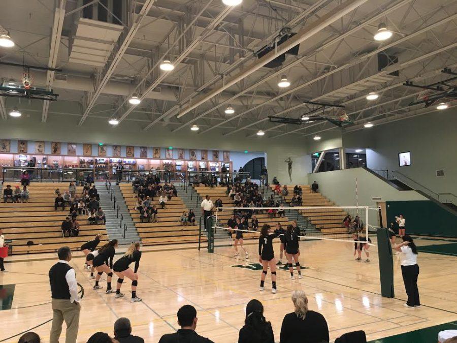 Volleyball taken down in CCS semifinal vs top ranked Mitty