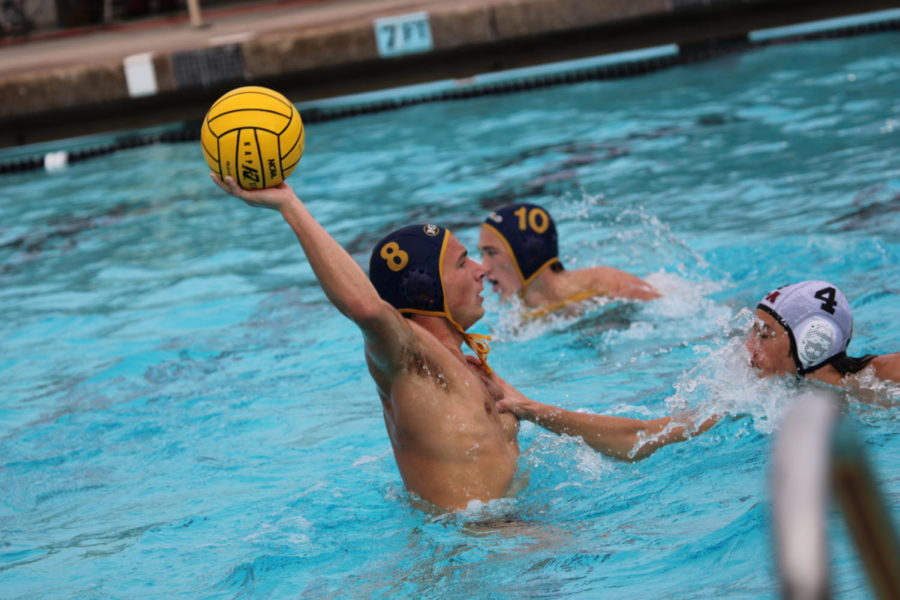 Menlo senior Gregory Hilderbrand rewinds to shoot during the varsity boys water polo game against Menlo Atherton High School in the CCS quarterfinals. The game took place on Saturday, Nov. 6. Staff Photo: Lexi Friesel. 