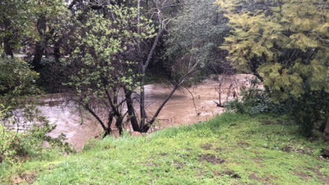 The overflowing San Francisquito creek in January. Staff photo: Asher Lev
