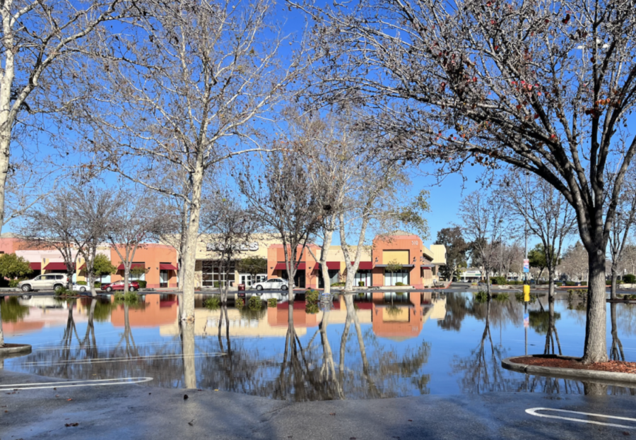 The Walmart parking lot in Mountain View floods after the first storm hit the Bay Area in early January. Staff photo: Lucas Kawamoto.  