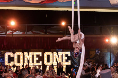 The auction featured a circus theme with a special show of aerial dancers. Photo courtesy of John Meyer