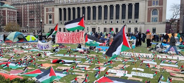 Universities Failed Peaceful Pro-Palestine Protesters