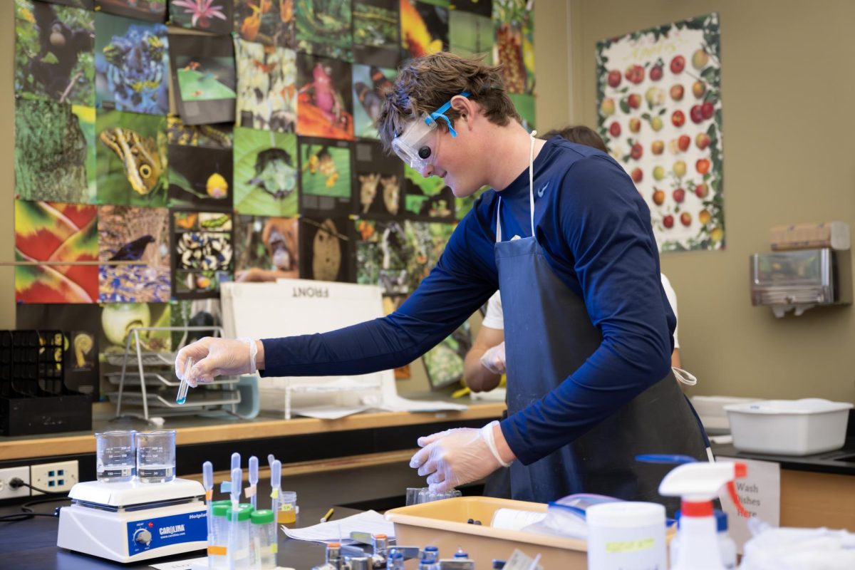 Junior Arki Temsamani works on a lab in Biology earlier this school year. Photo sourced via Menlo's Flickr page.