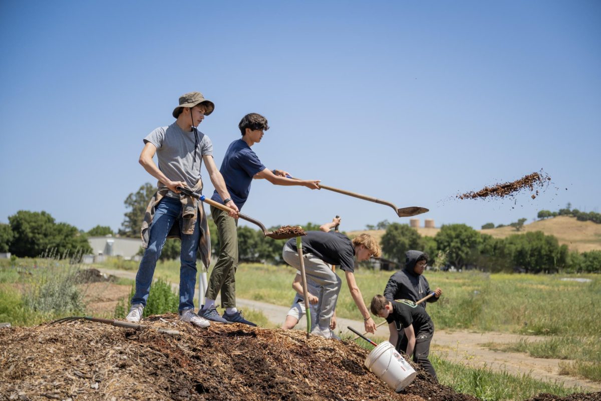 Jonah Block, Jalen Wong, Henry Hauser, Cole Milotich and Lawrence Latu shovel wood chips on May 22, 2024 at Sunol Ag, a farm in Alameda County, CA. Photo sourced via the Menlo Flickr page.