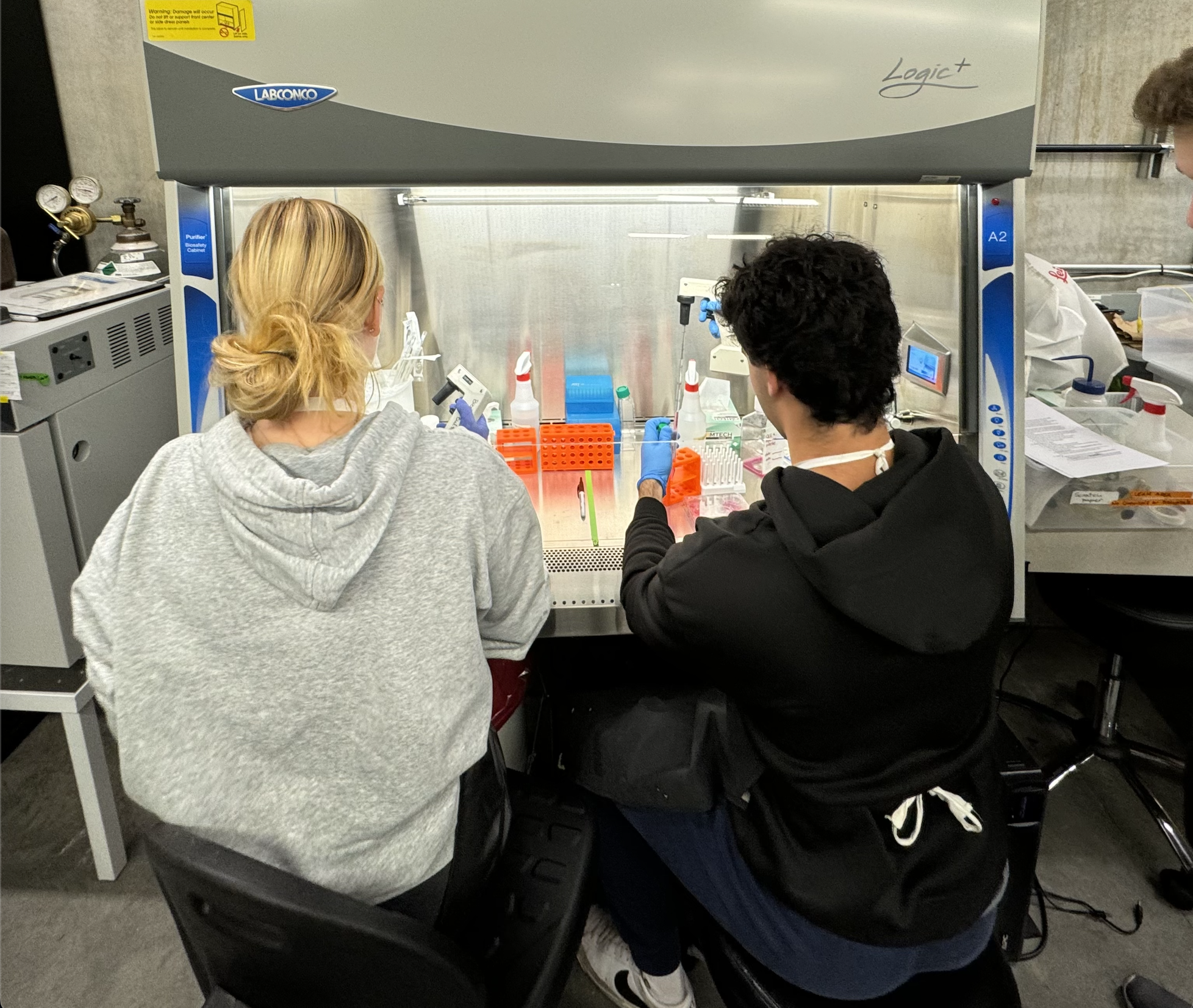 Senior Biotech students Caroline Herndon and Michael Preys
practice cell culturing for the first time in the Whitaker Lab. Photo courtesy of Sienna Swanson