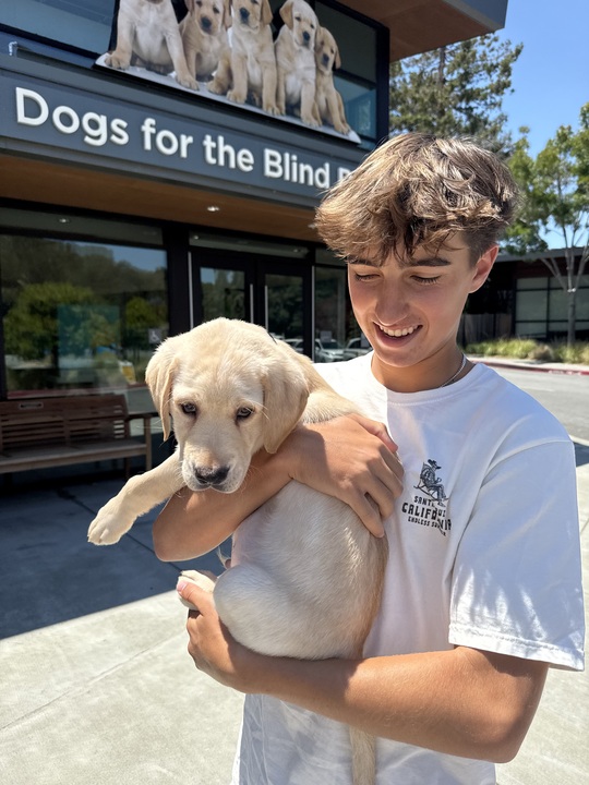 Meet Dewey: A Working Dog At Menlo