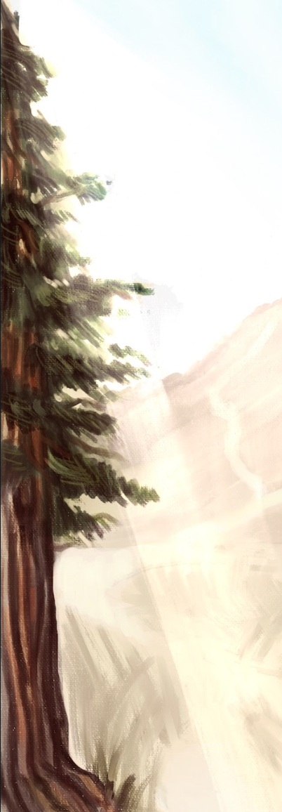 The Roots and Rumors of The Redwood Grove